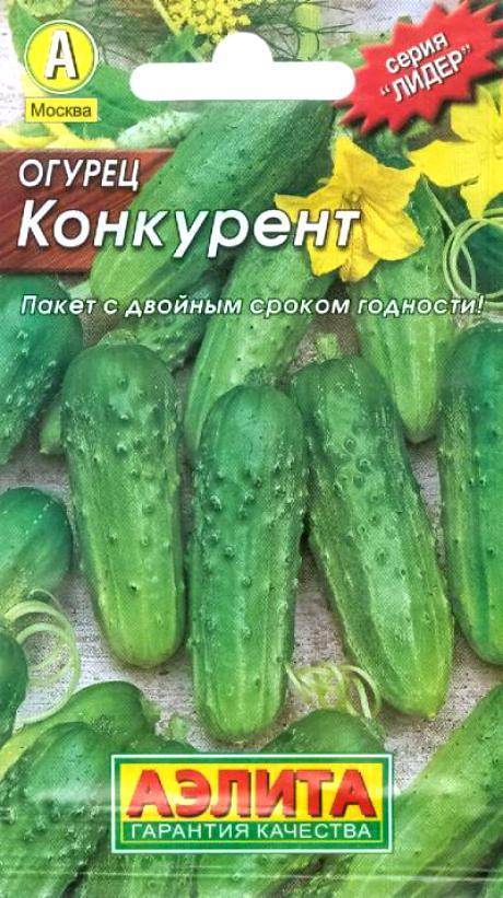 Сорт Огурцов Конкурент Фото