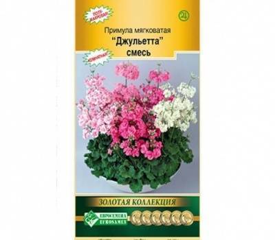 примула мягковатая джульетта, смесь (3 шт)