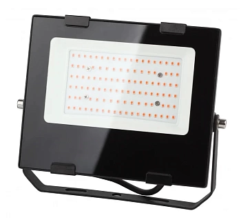 фитопрожектор для растений эра fito-50w-rb-led для цветения и плодоношения 50 вт распродажа
