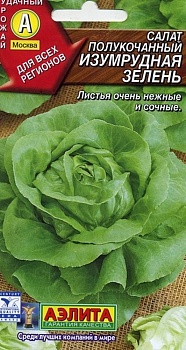 салат изумрудная зелень (2024)