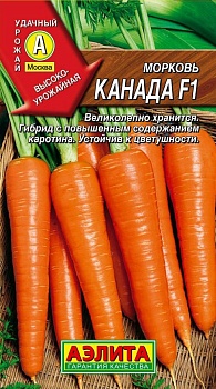 морковь канада f1 (2024)