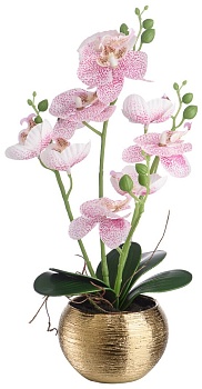 цветочная композиция "нежная орхидея ", в360