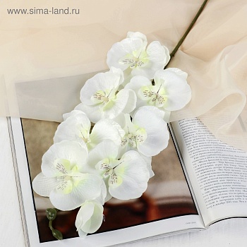 цветы искусственные "орхидея молди" 9*66 см, белая 2578239