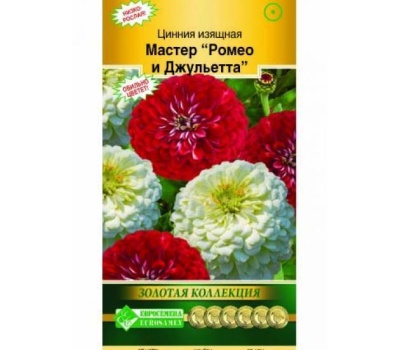 цинния изящная мастер ромео и джульетта изящная (10 шт)