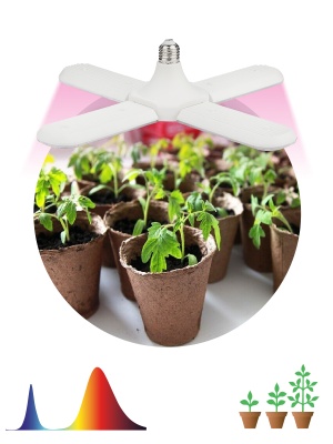 фитолампа для растений светодиодная эра fito-36w-rb-e27-fold 4-х лепестковая красно-синего спектра 36 вт е27
