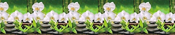 фартук термоперевод "орхидеи белые" (600х3000)