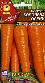 морковь королева осени (2024)