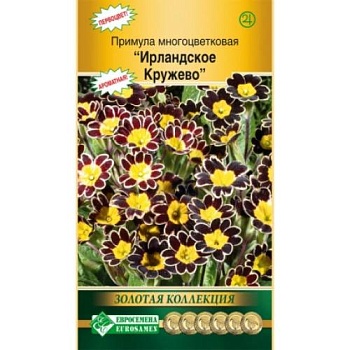 примула многоцветковая ирландское кружево (3 шт)