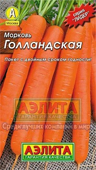морковь голландская (2024)