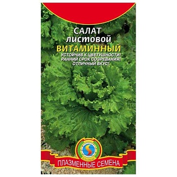 салат витаминный листовой (2024)