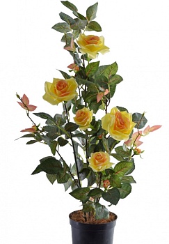 16196 роза крисия желтая в кашпо