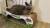 homecat когтеточка мятная волна большая 61х25х20 см (гофрокартон) (68993)