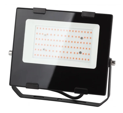 фитопрожектор для растений эра fito-50w-rb-led для цветения и плодоношения 50 вт распродажа